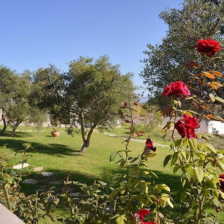Alexandra'S Garden Houses Stalos Exterior foto